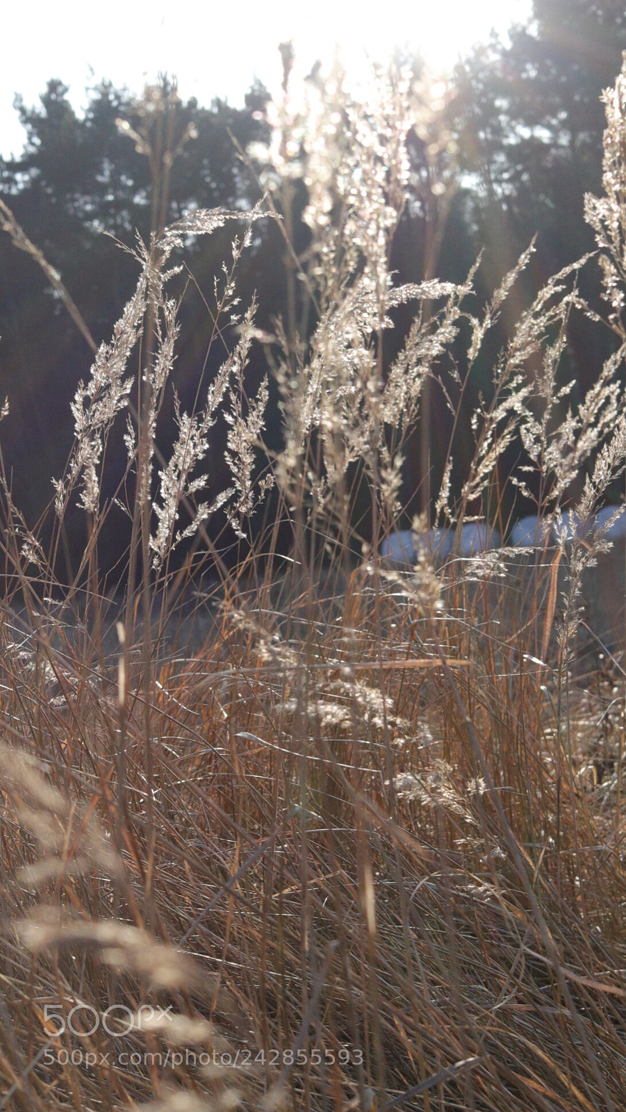 Canon EOS 77D (EOS 9000D / EOS 770D) sample photo. Untitled photography