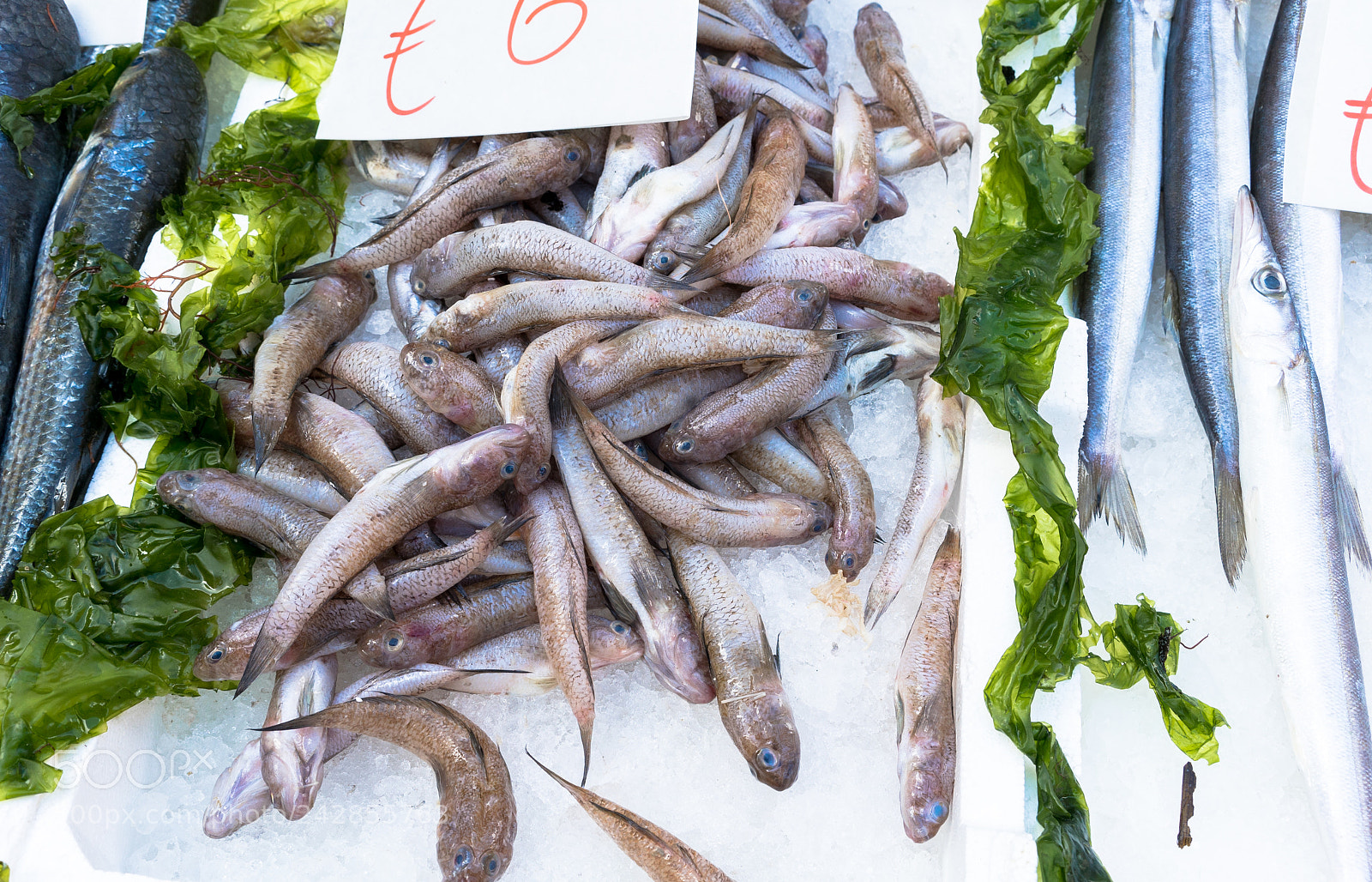 Sony a7S II sample photo. Fish at market photography