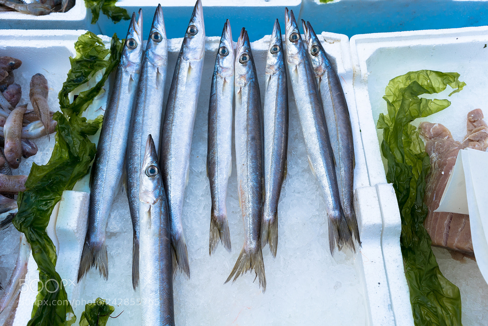 Sony a7S II sample photo. Garfish at market photography