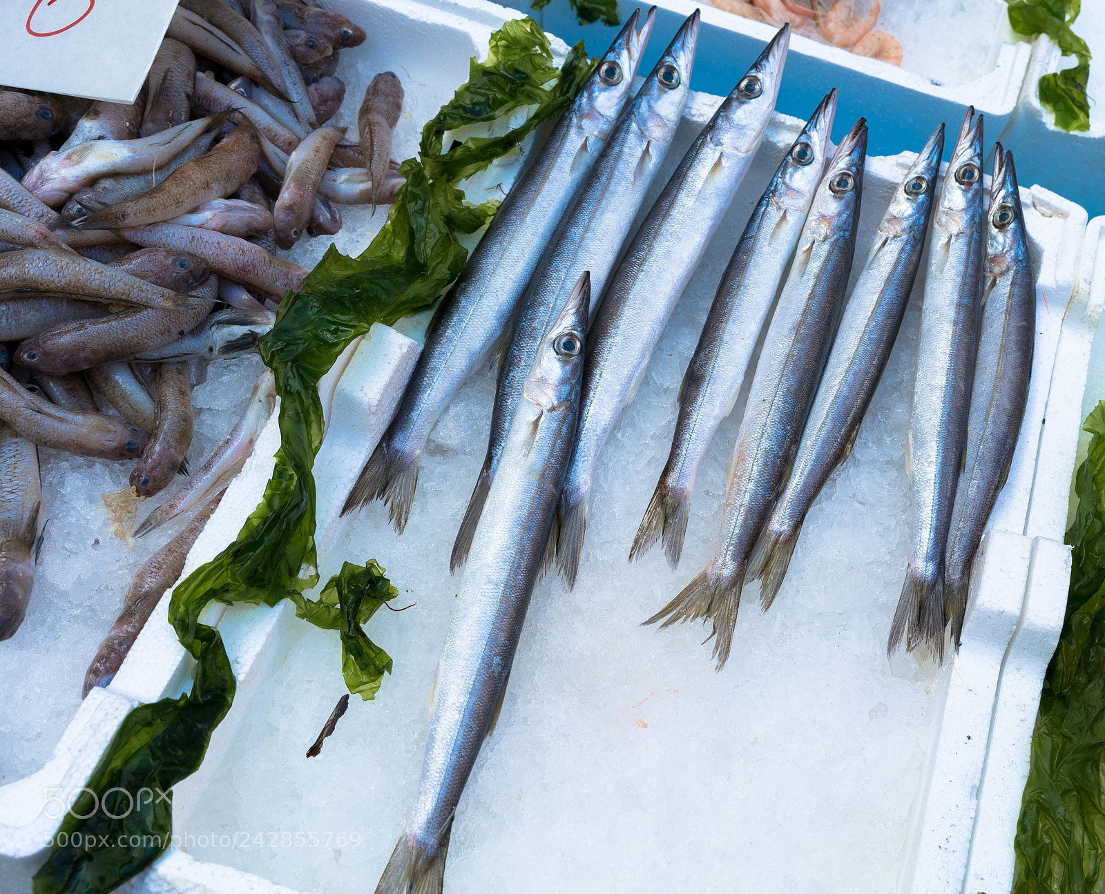 Sony a7S II sample photo. Garfish at market photography