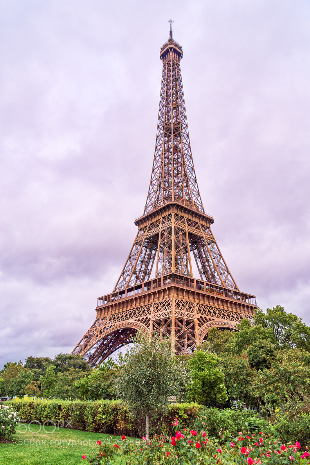 Nikon D610 sample photo. Eiffel tower up close photography