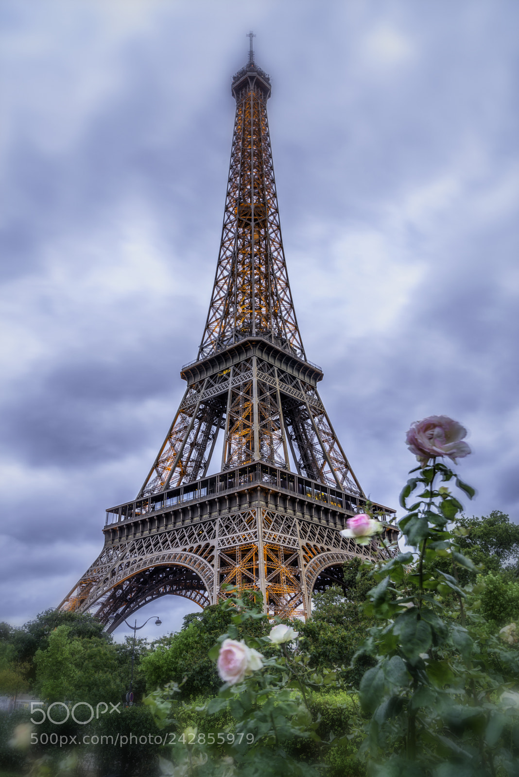Nikon D610 sample photo. Europe paris september 2017 photography