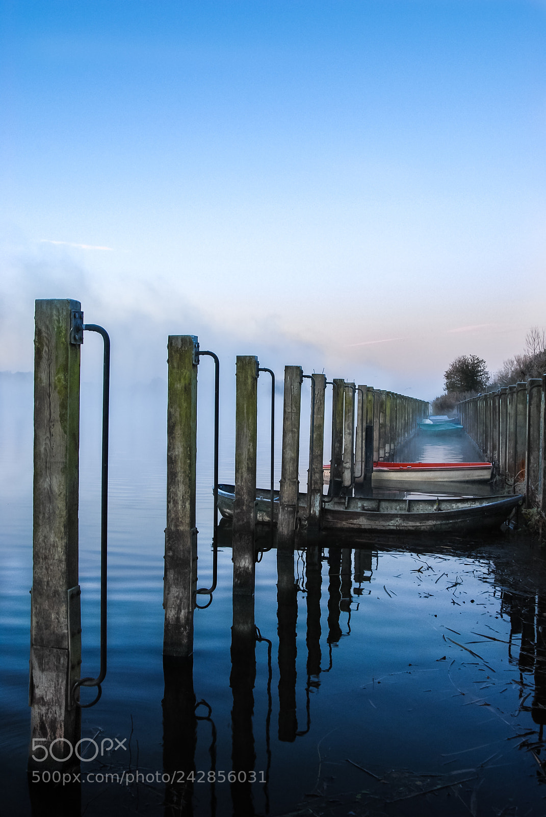 Nikon D200 sample photo. Morning on the lake photography