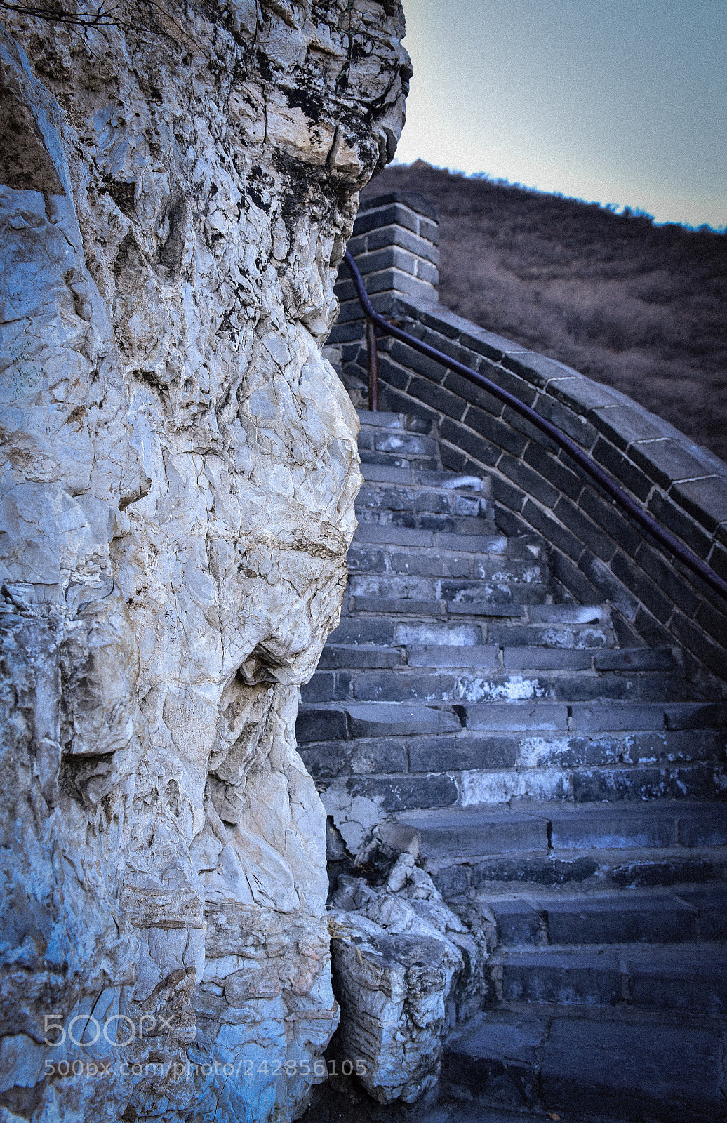 Nikon D810 sample photo. Go photography