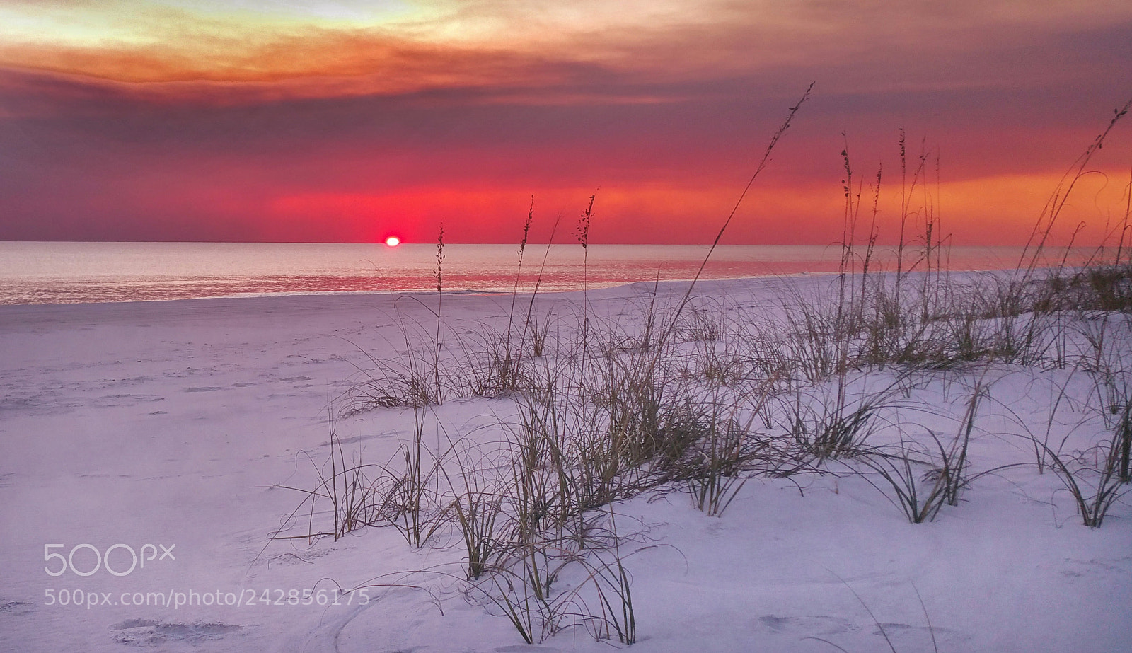 Samsung Galaxy Note4 sample photo. Sailor's  delight photography