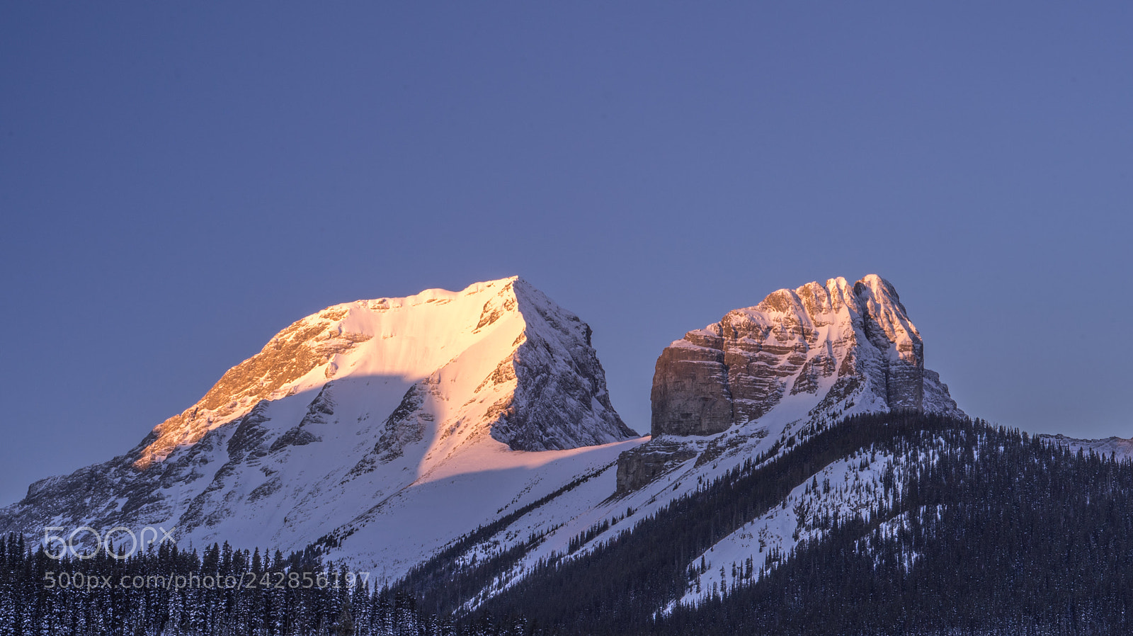 Sony a7 II sample photo. Mount smuts and the photography