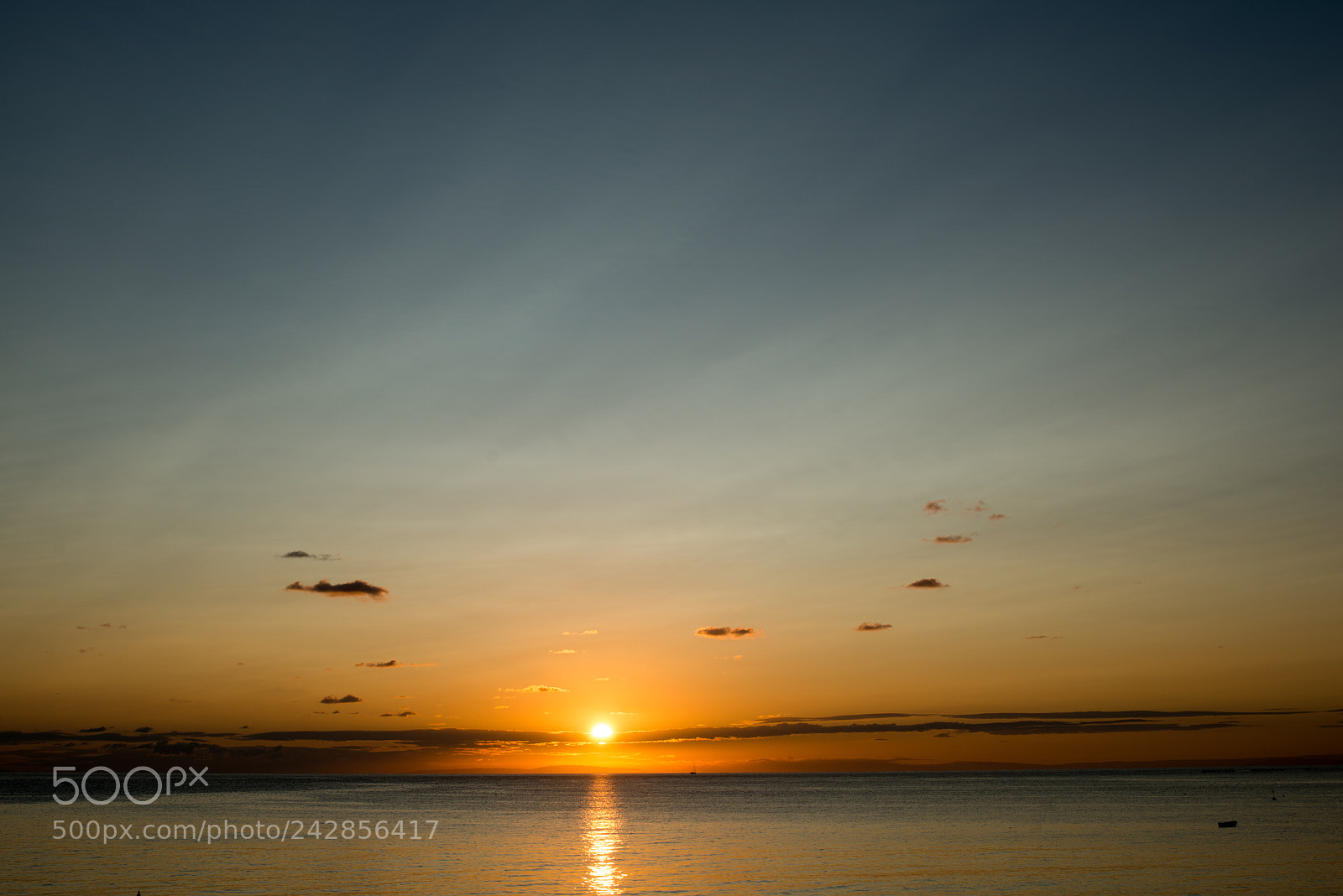 Nikon D800 sample photo. Morning photography