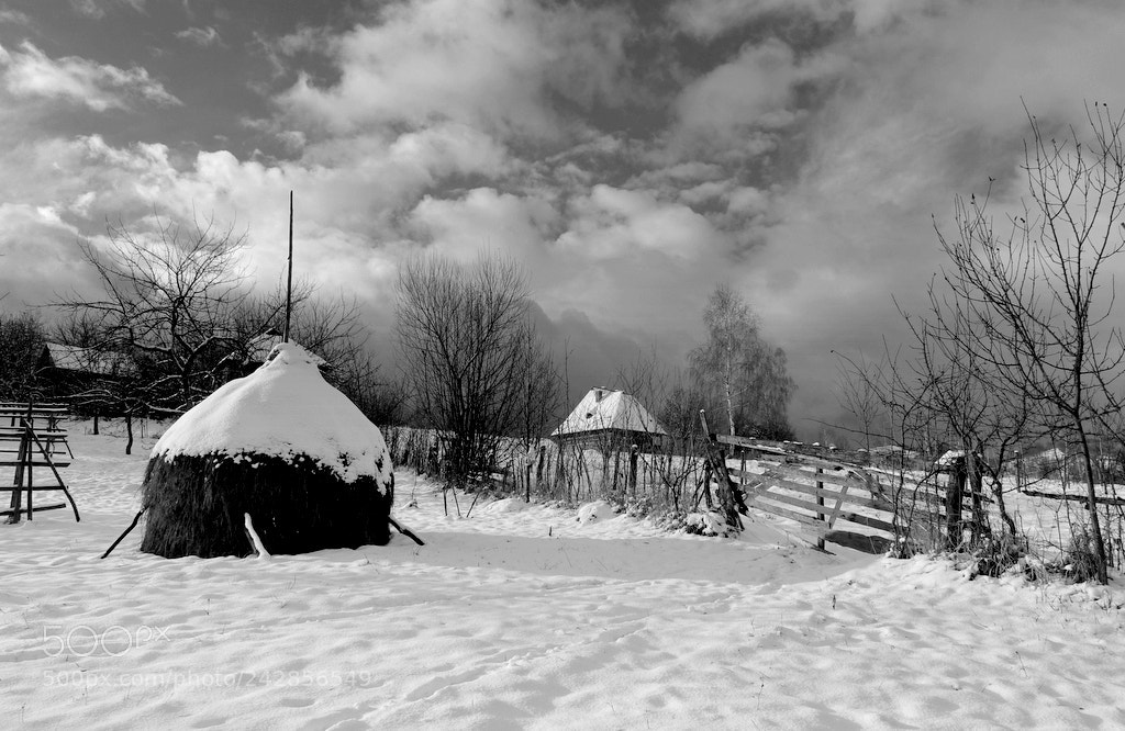 Sony Cyber-shot DSC-RX10 sample photo. Iarna photography