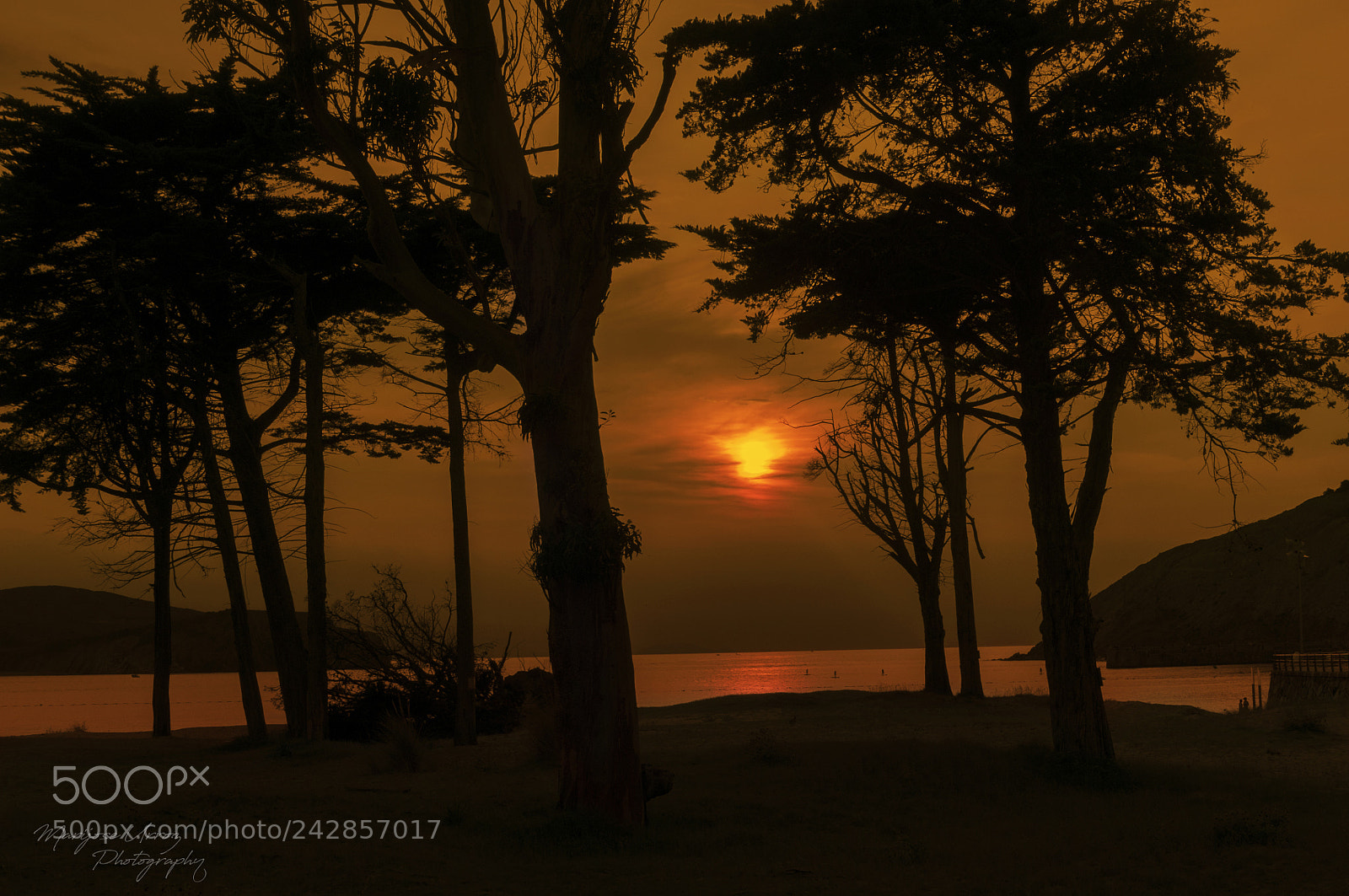 Nikon D300 sample photo. Sunset photography