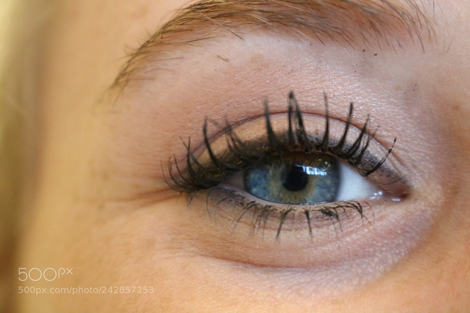 Canon EOS 750D (EOS Rebel T6i / EOS Kiss X8i) sample photo. Untitled photography