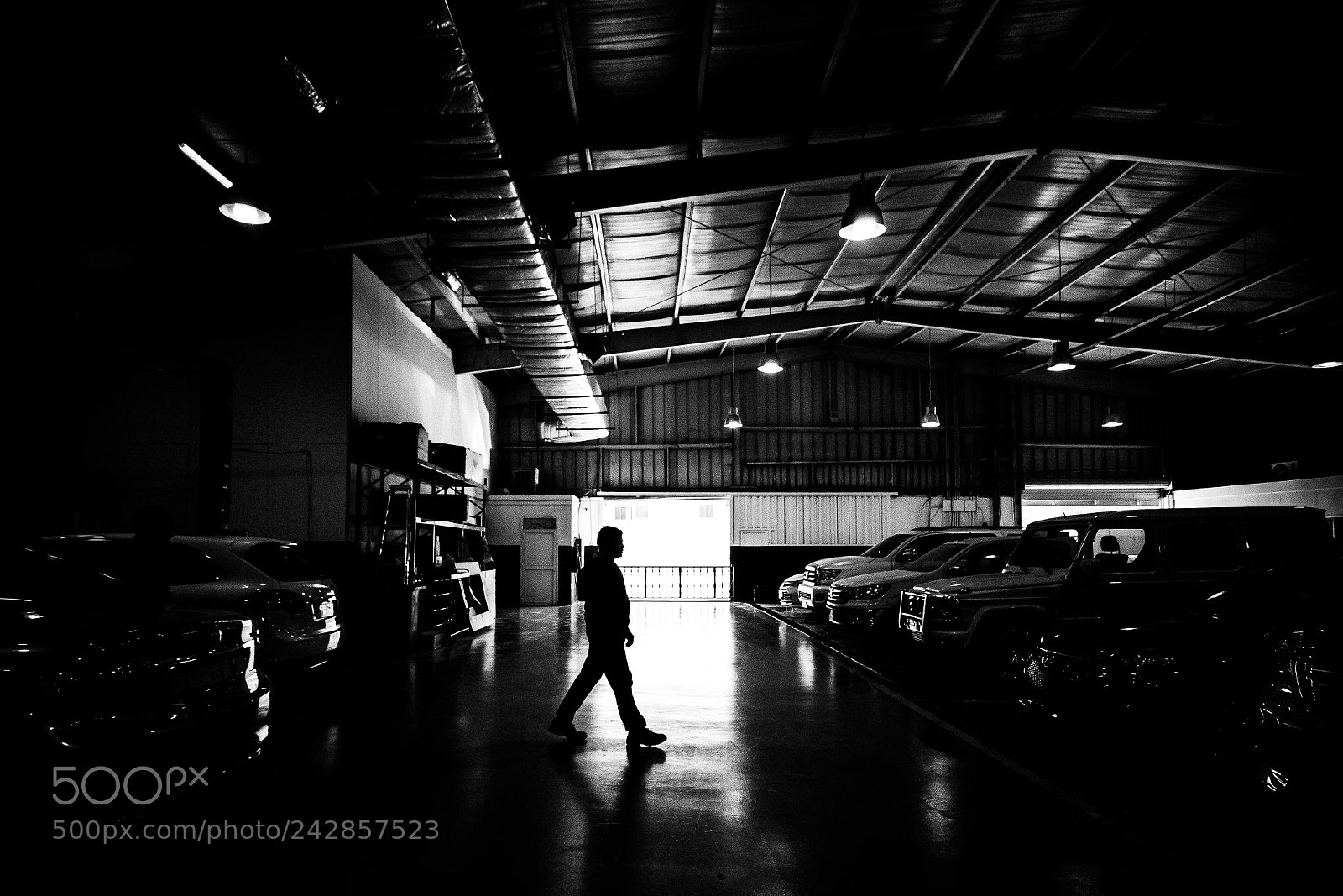 Canon EOS-1D X sample photo. Black&white photography
