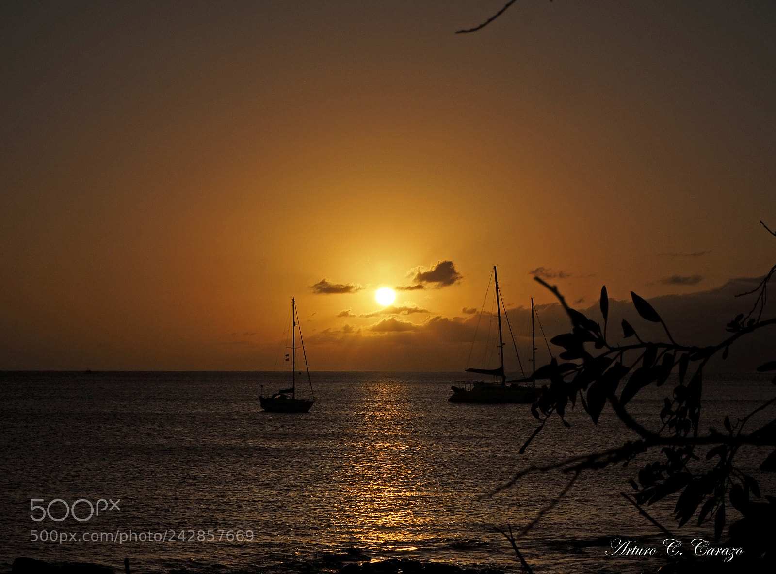 Olympus OM-D E-M10 II sample photo. Puenta de sol photography