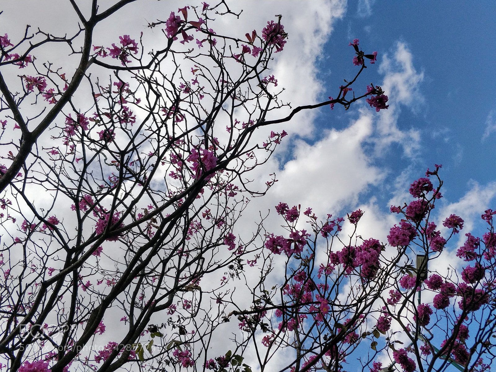 OnePlus 5 sample photo. #nevergettiredofbluesky photography