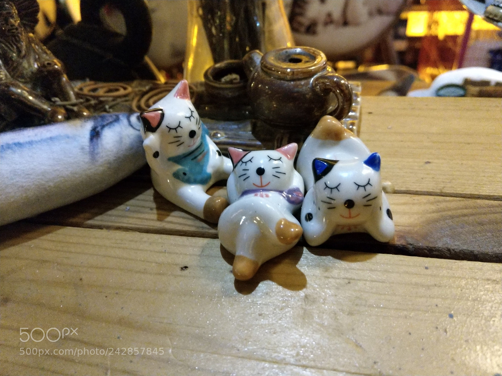 HTC U11 sample photo. Cat photography