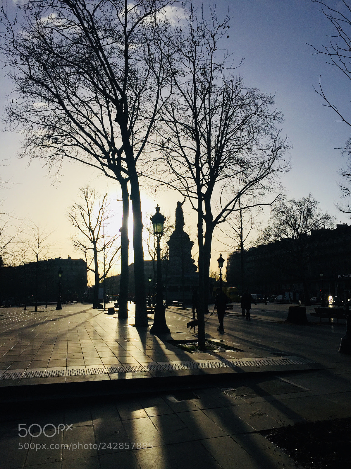 Apple iPhone 6 sample photo. Untitled photography