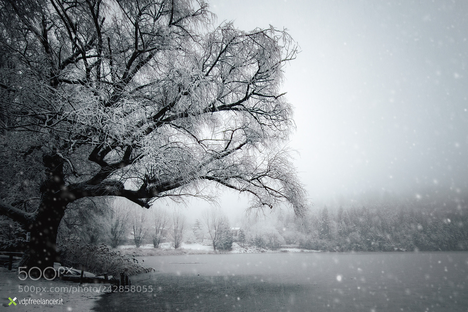 Canon EOS 5DS sample photo. Winter photography