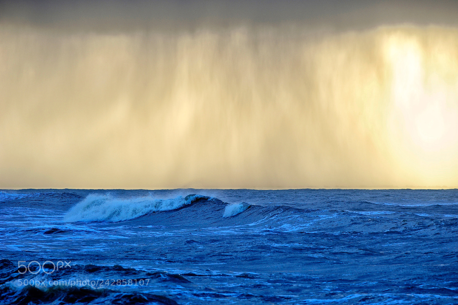 Nikon D3S sample photo. Squall photography