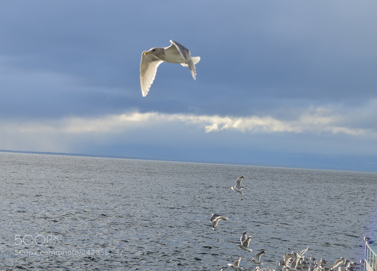 Nikon D3200 sample photo. Taking off photography