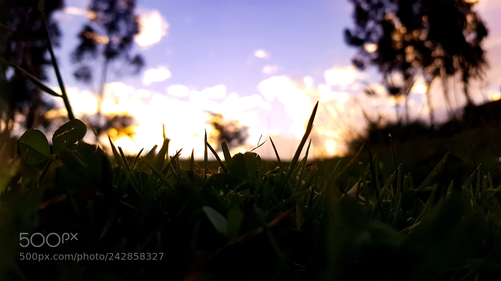 Samsung Galaxy S8+ sample photo. Spring photography