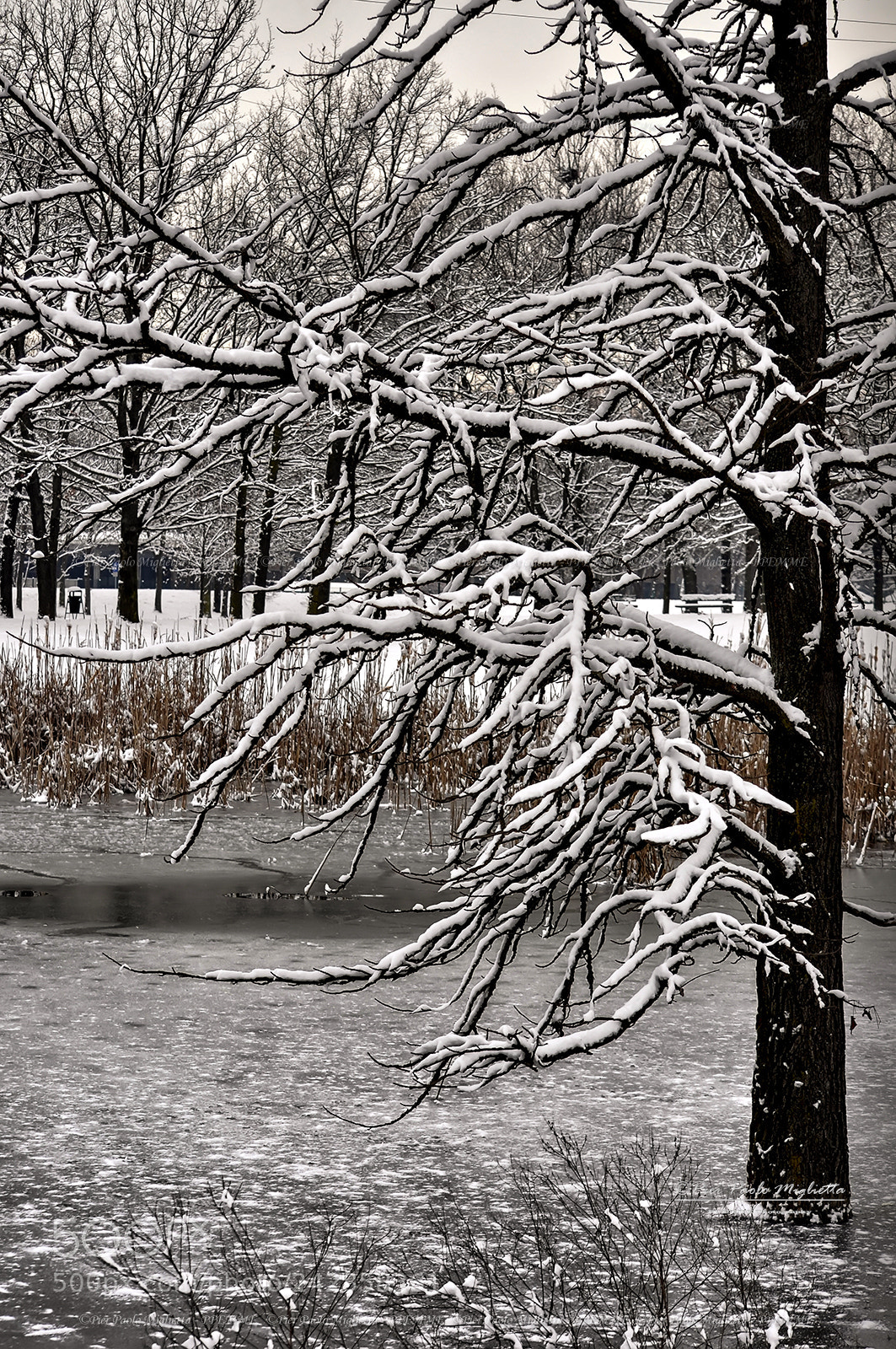 Nikon D90 sample photo. In the grip of photography