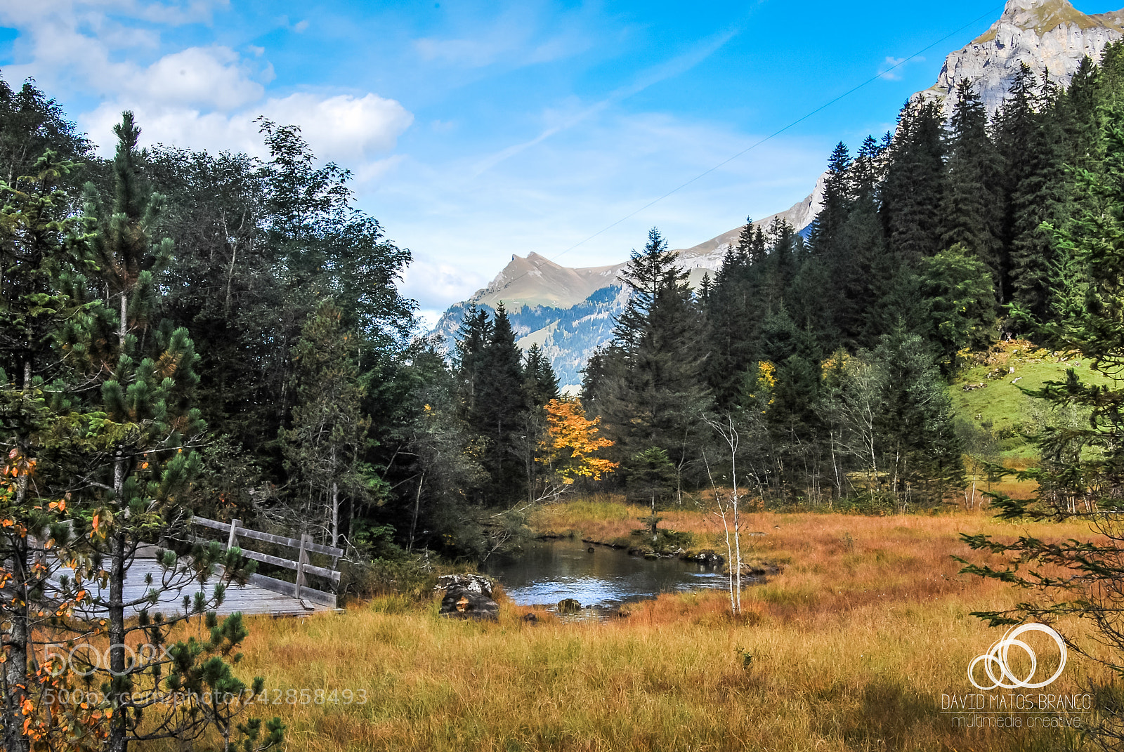 Nikon D60 sample photo. Into the wild photography