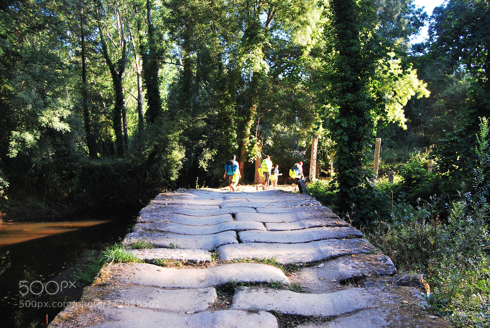 Nikon D60 sample photo. Stone bridge photography