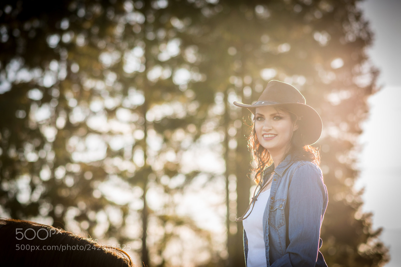 Nikon D800 sample photo. Rs photography