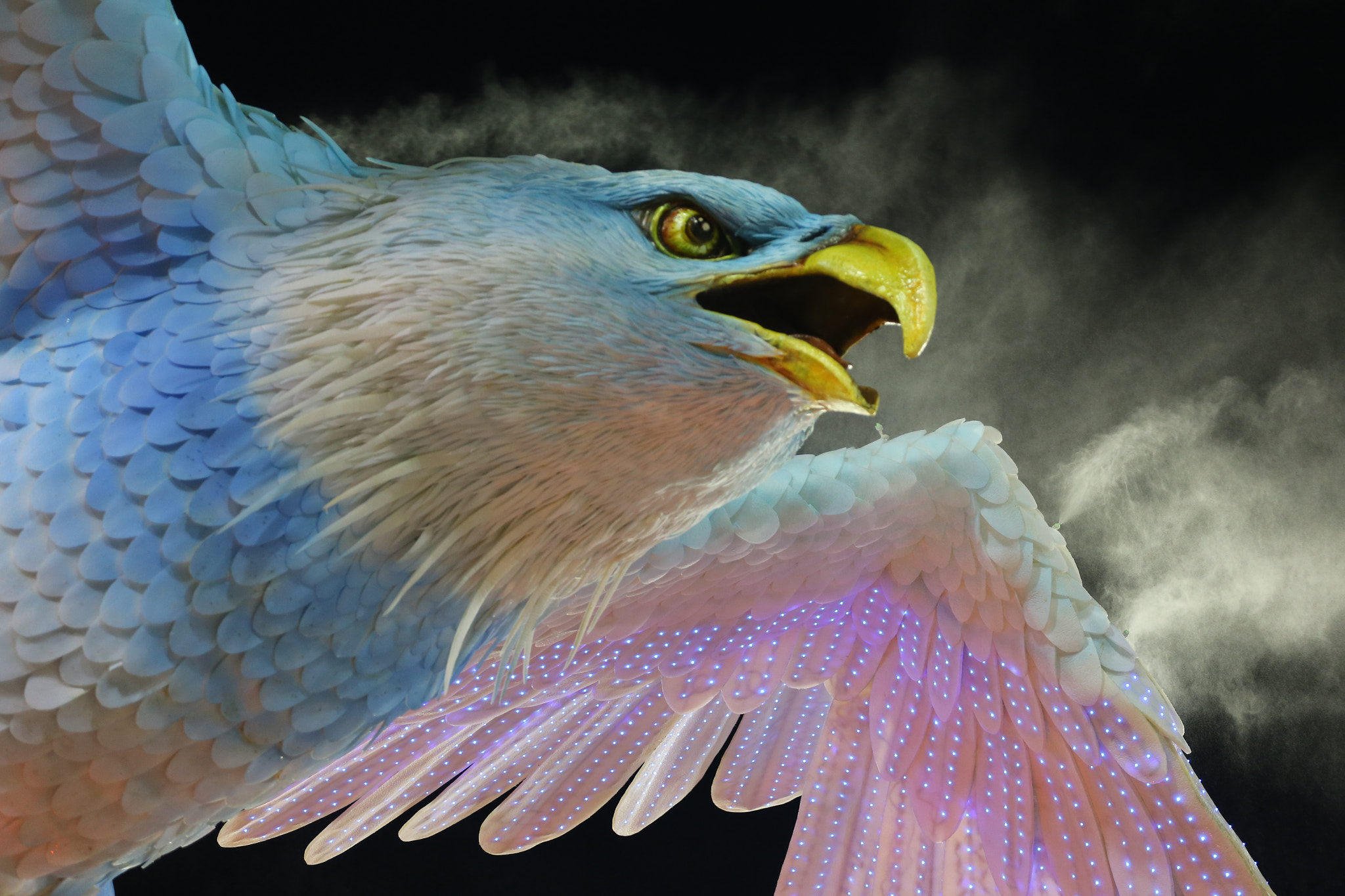 Canon EOS 6D + Canon EF 70-200mm F4L USM sample photo. Eagle of portela photography
