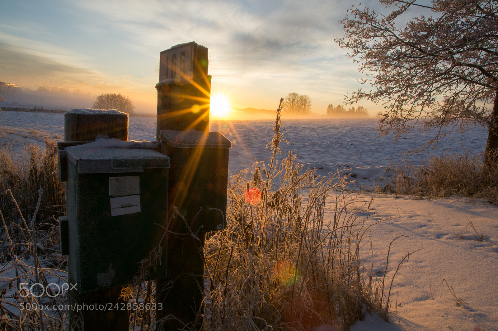 Nikon D7100 sample photo. Morningpost photography