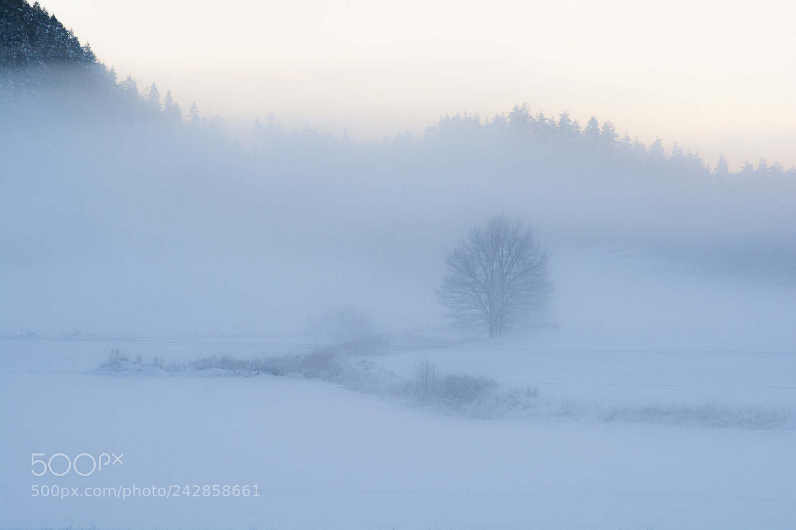 Nikon D7100 sample photo. Eisnebel photography