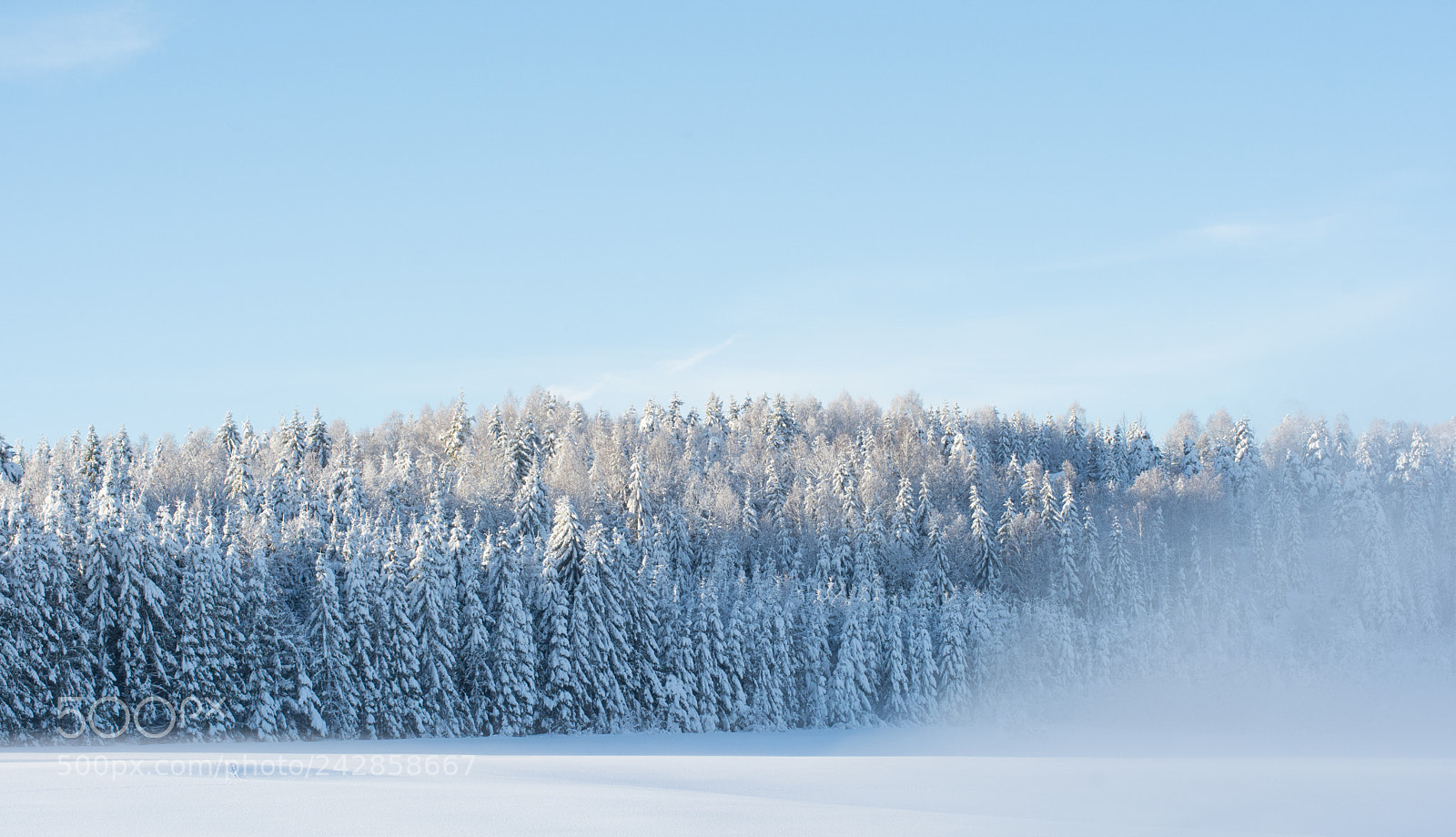 Nikon D7100 sample photo. Winterwonderland photography