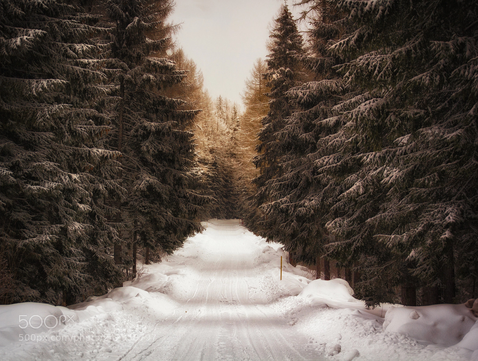 Canon EOS 550D (EOS Rebel T2i / EOS Kiss X4) sample photo. The frozen path photography