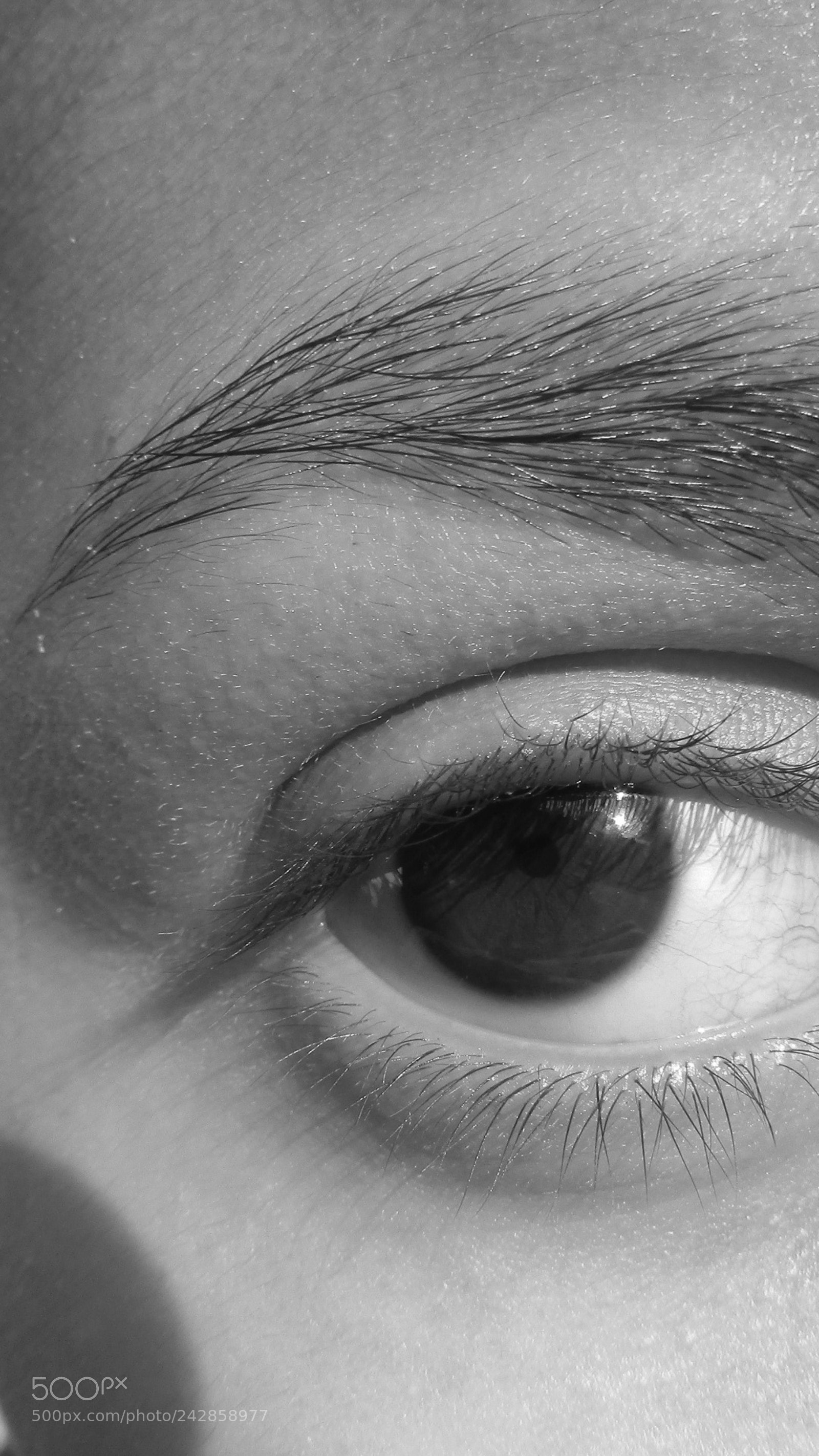 Canon PowerShot SX410 IS sample photo. Stare photography