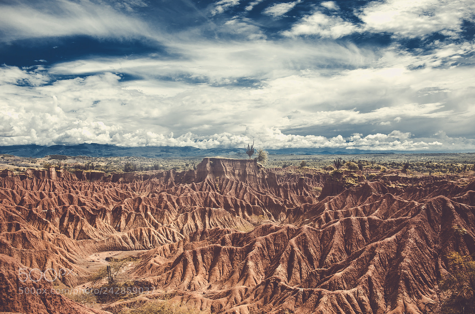 Nikon D5100 sample photo. Tatacoa's desert photography