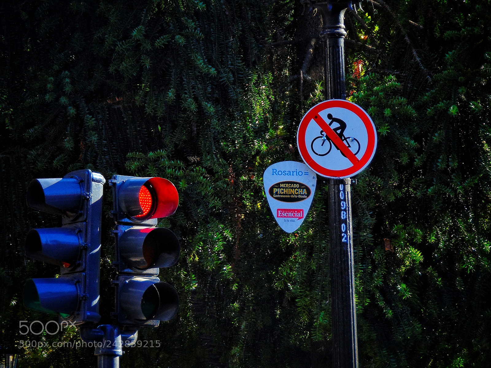 Sony Cyber-shot DSC-H300 sample photo. Traffic signals photography