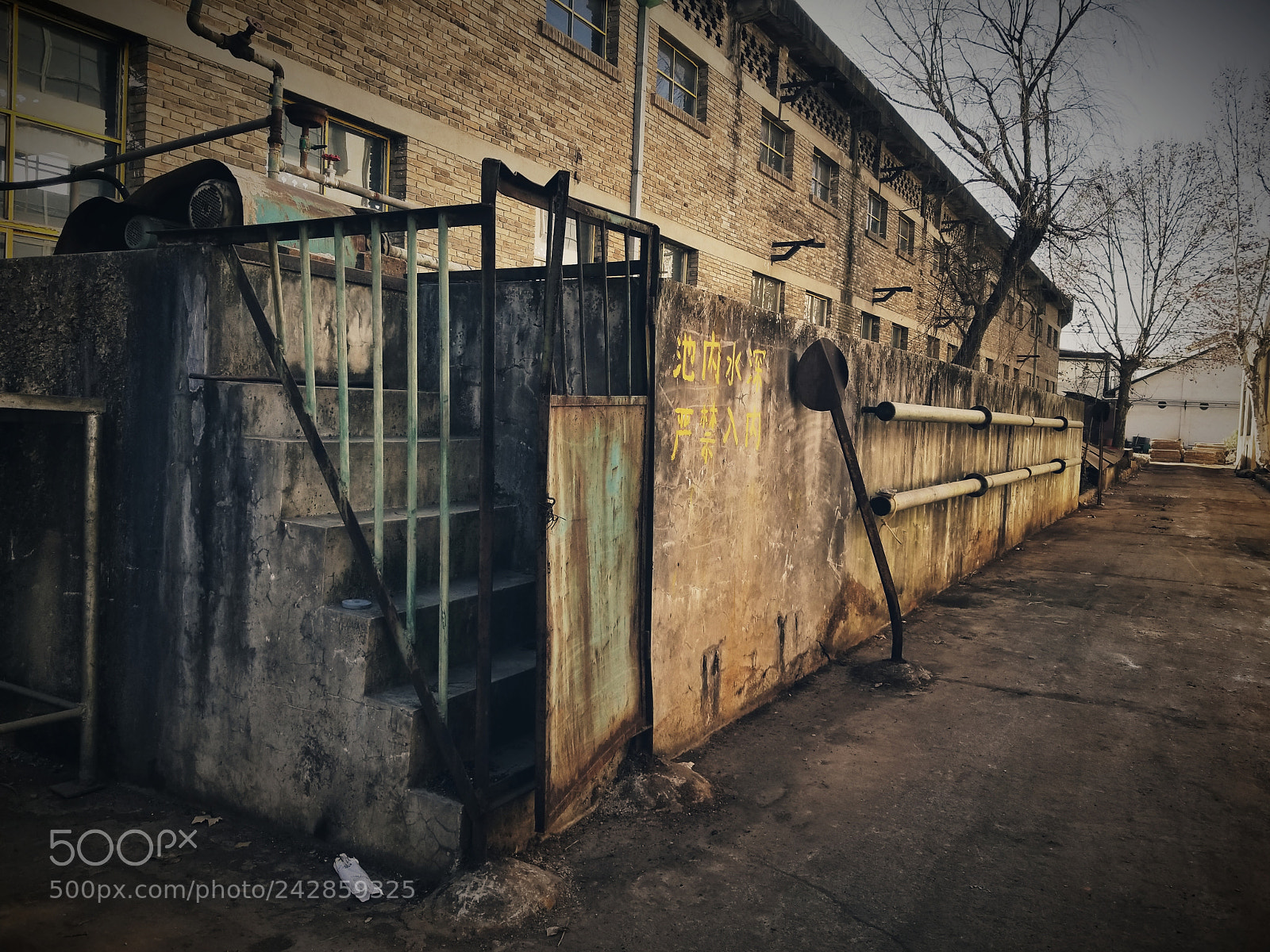 Samsung Galaxy S8+ sample photo. Untitled photography