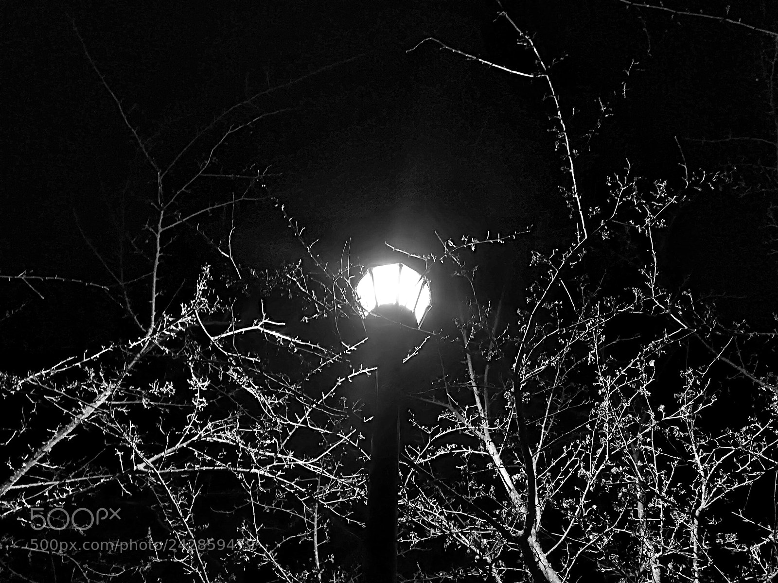 HUAWEI P10 lite sample photo. Midnight torchlight photography