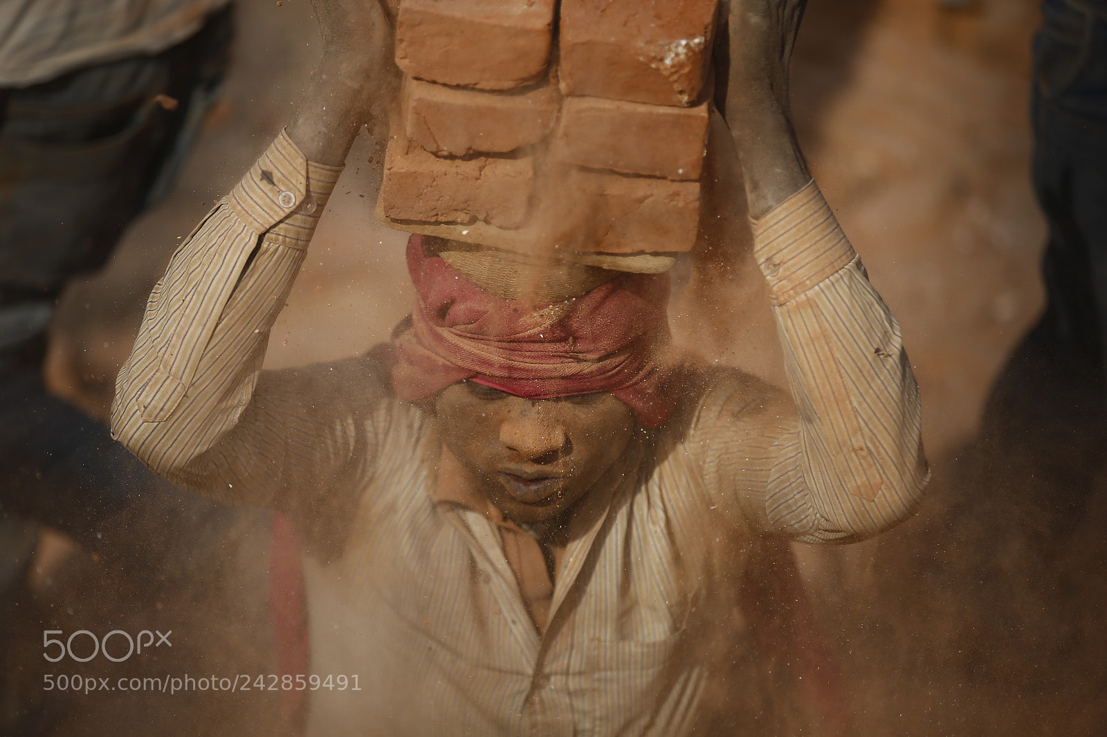 Canon EOS-1D X sample photo. Migrant laborers work in photography