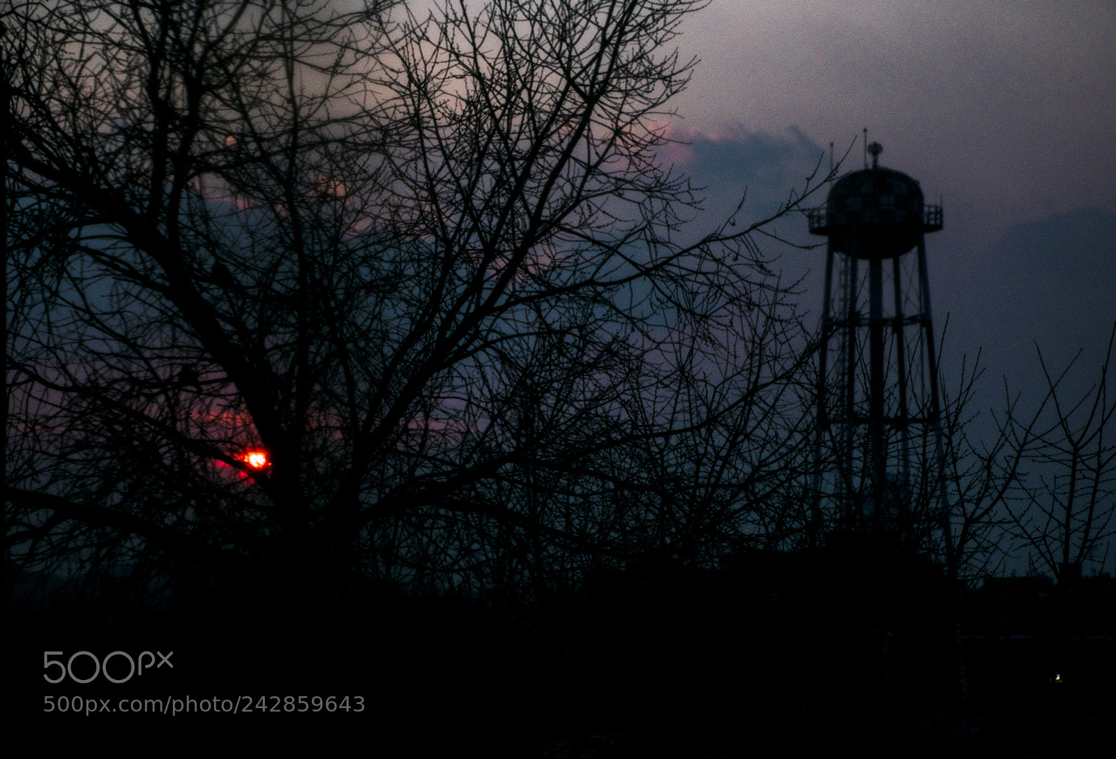 Nikon D3400 sample photo. Army of darkness photography