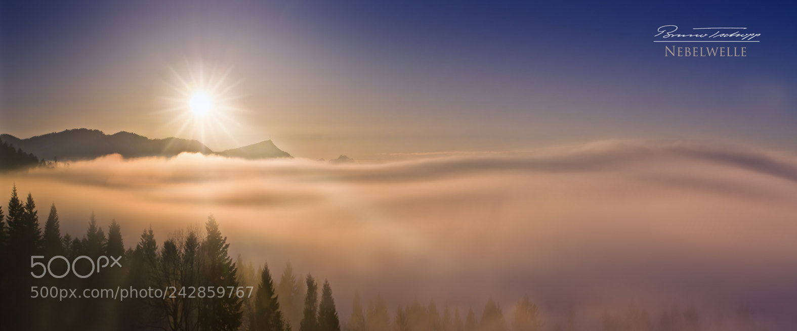 Pentax K-5 sample photo. Nebelwelle photography
