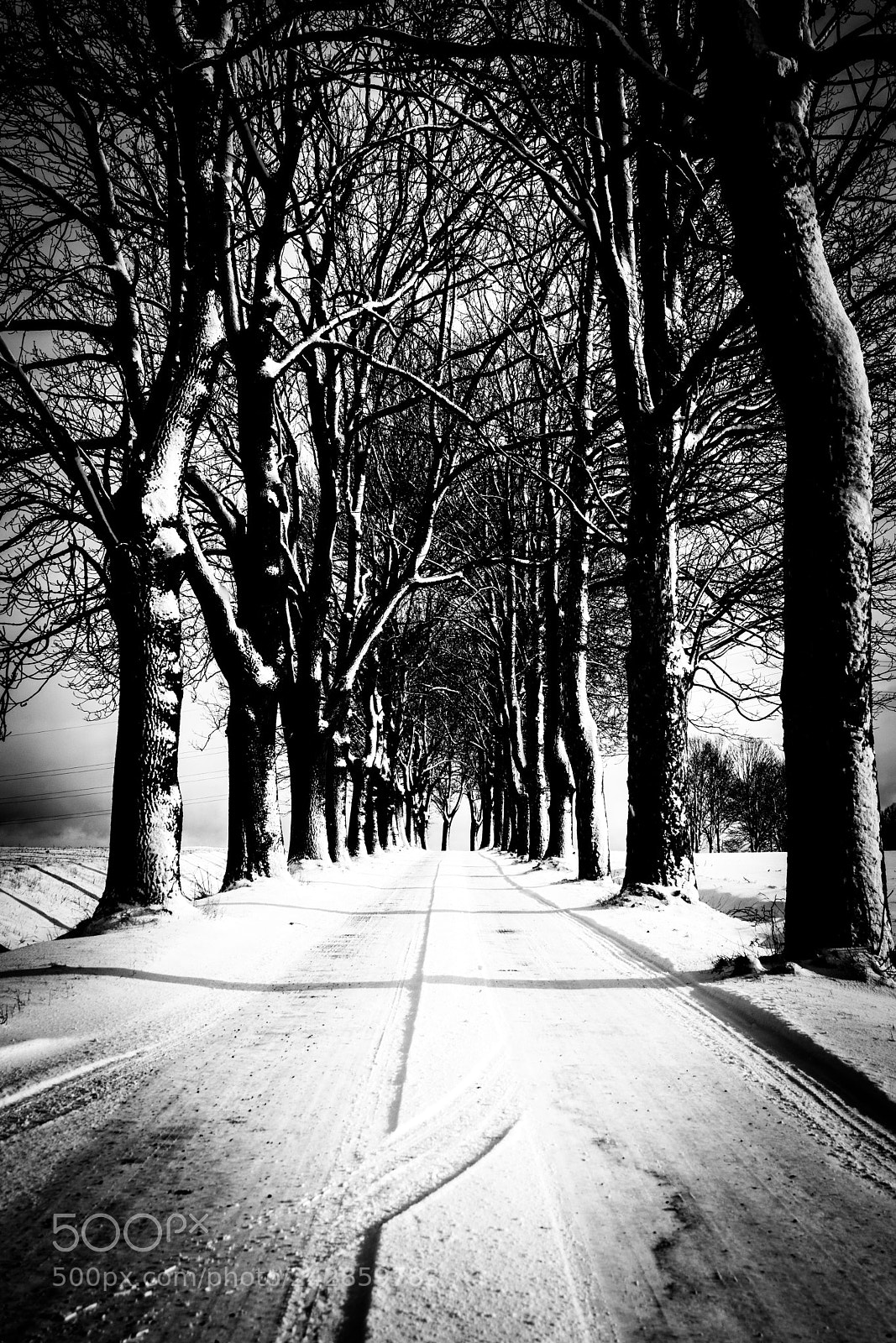 Sony ILCA-77M2 sample photo. Winter road photography