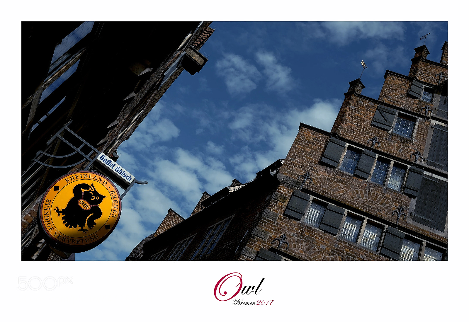Fujifilm X-T1 sample photo. Owl photography
