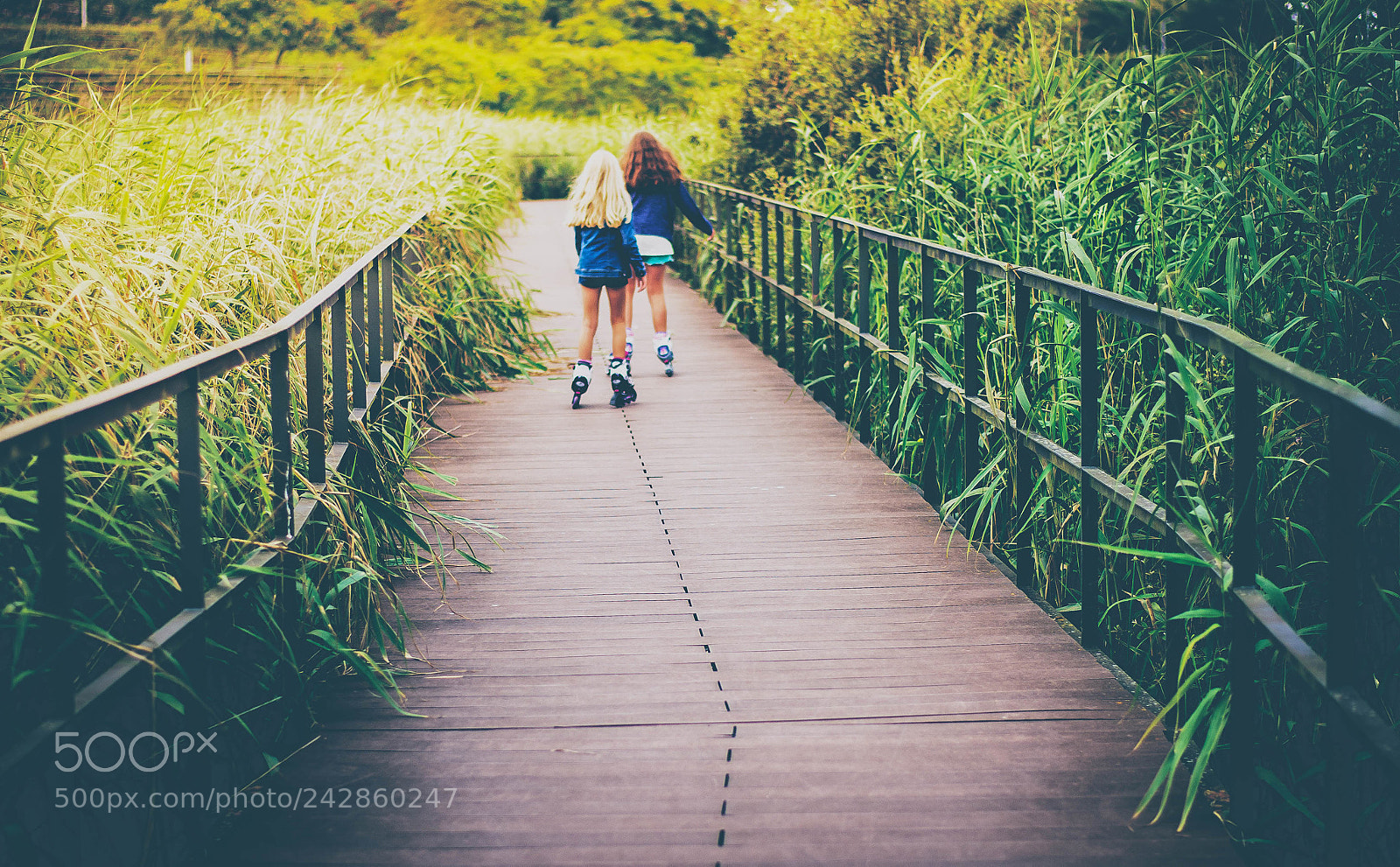 Nikon D610 sample photo. Flow photography
