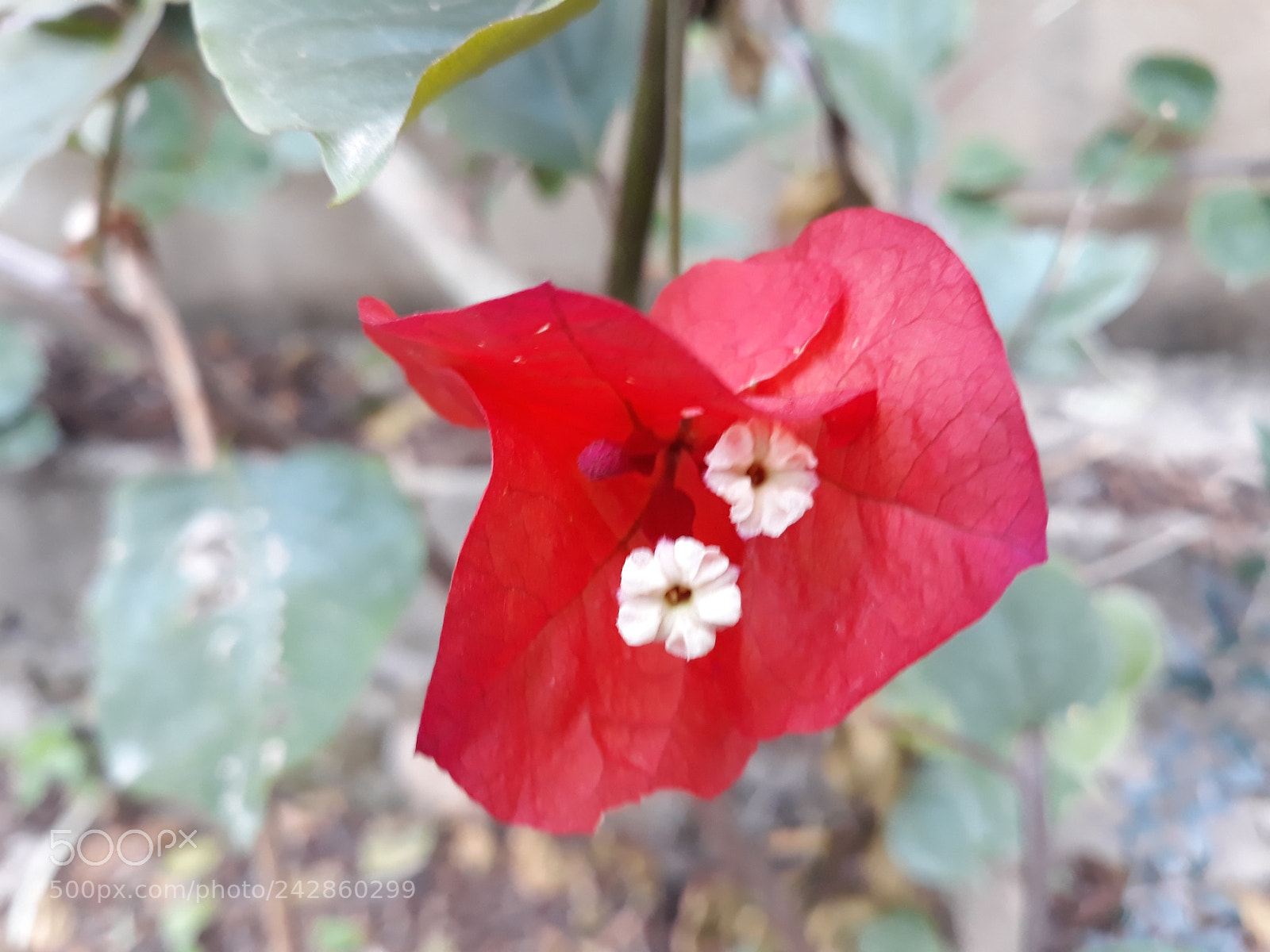 Samsung Galaxy J7 sample photo. Untitled photography
