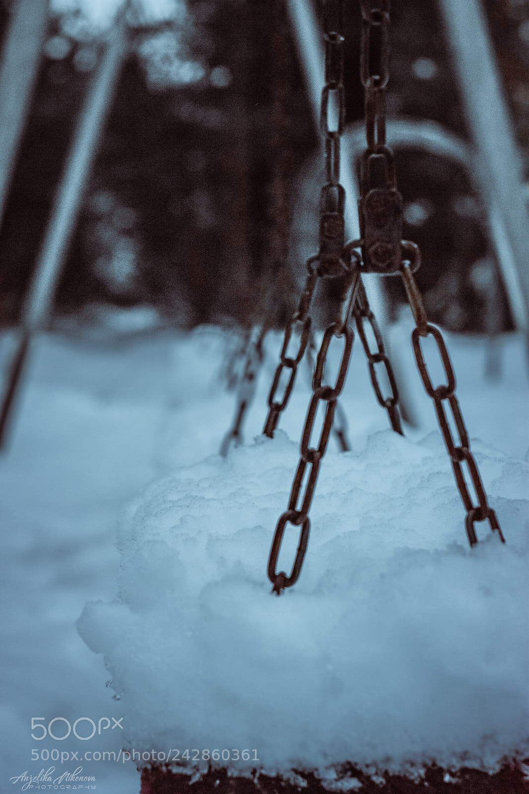 Canon EOS 450D (EOS Rebel XSi / EOS Kiss X2) sample photo. Swing theme. episode 2. snow photography