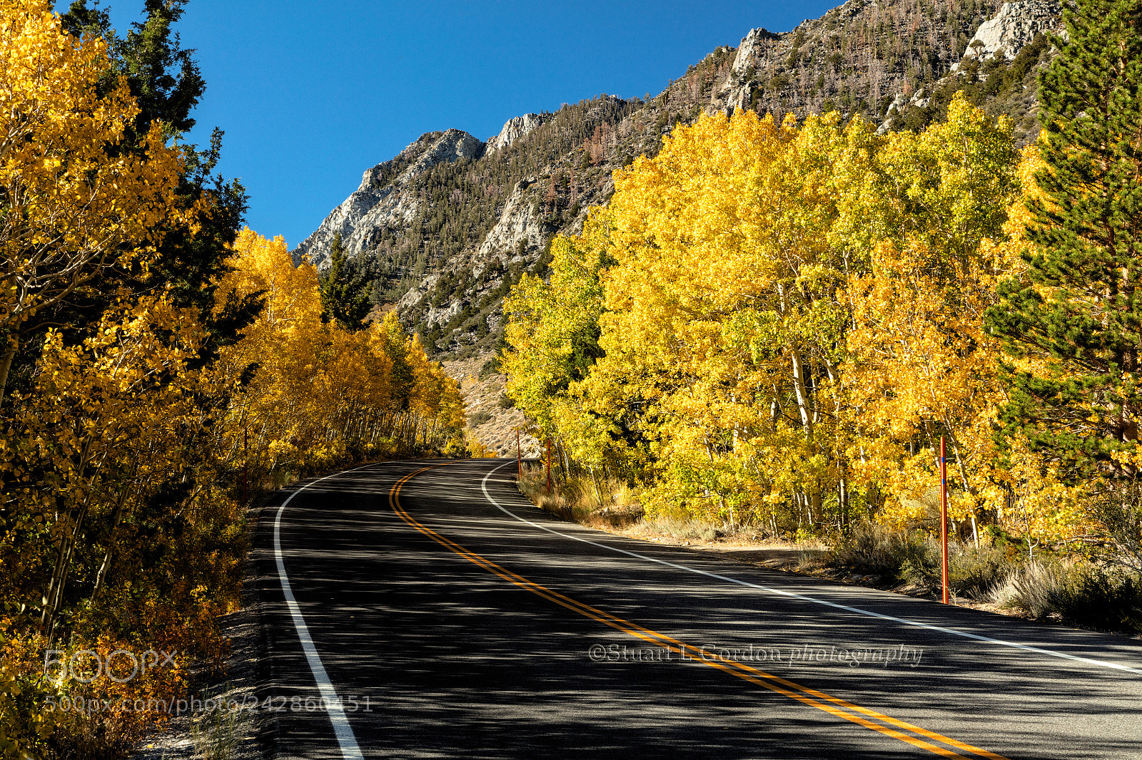Canon EOS 5DS R sample photo. The golden road photography