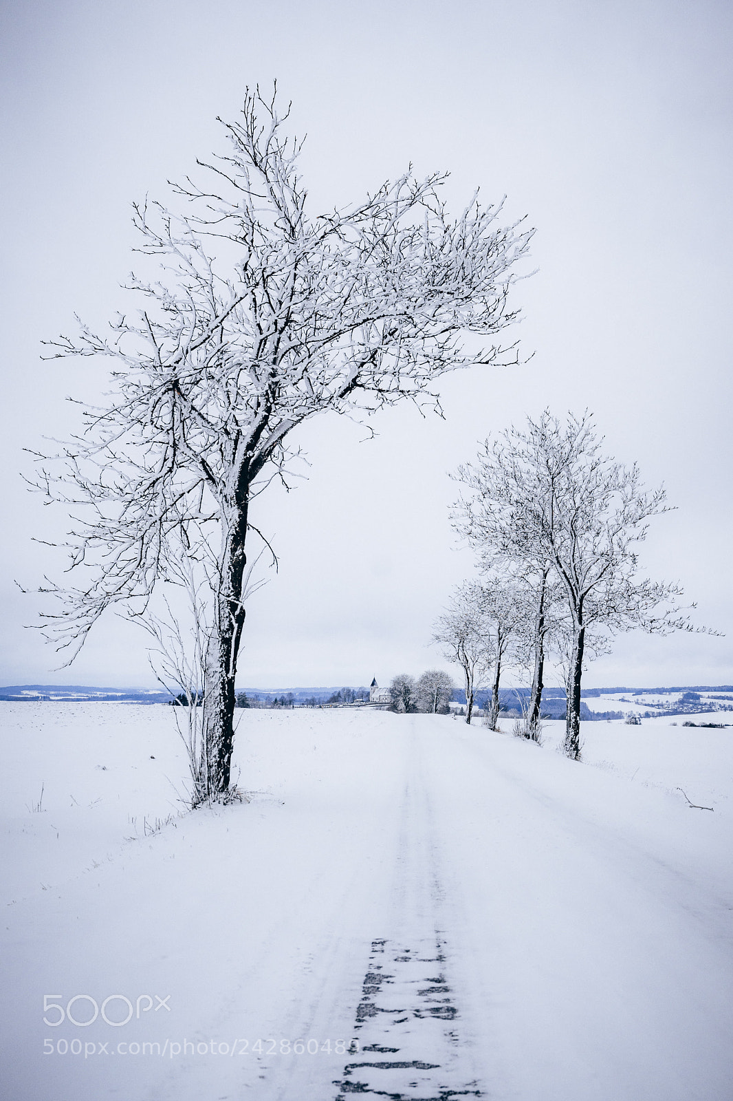 Sony ILCA-77M2 sample photo. Winter on the highland photography