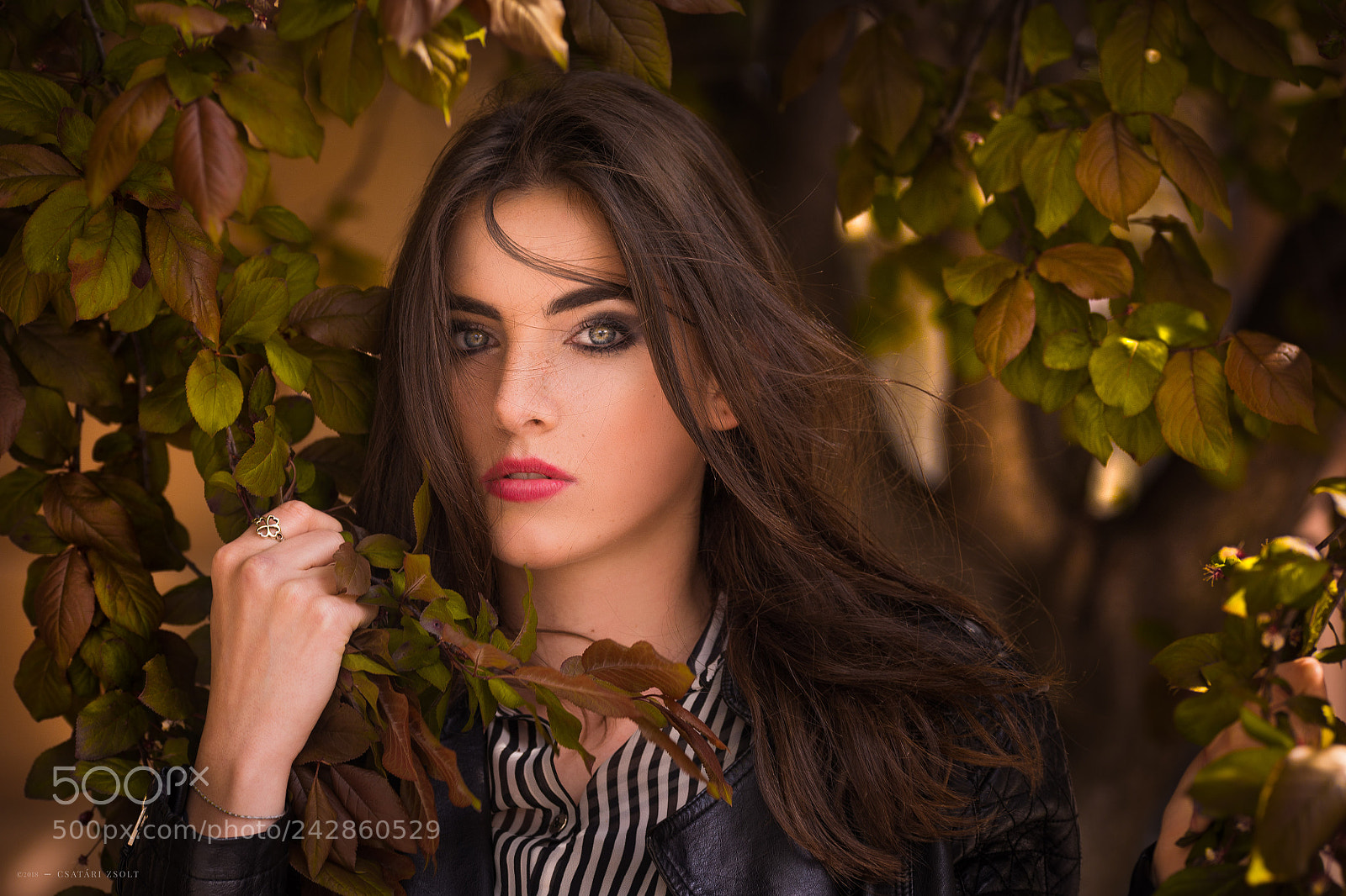 Nikon D7100 sample photo. Mesi photography