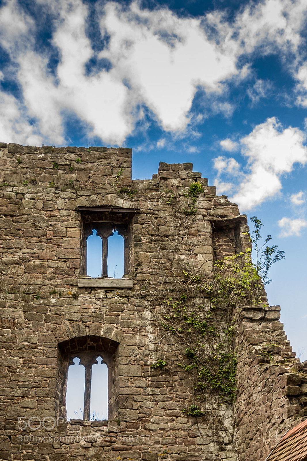 Canon EOS 1100D (EOS Rebel T3 / EOS Kiss X50) sample photo. Ruin of castle hanstein photography