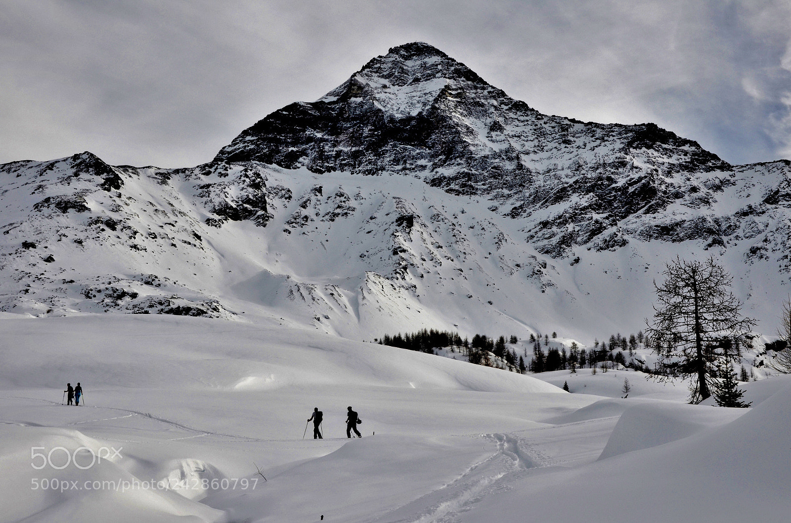 Nikon D5100 sample photo. A long way up photography